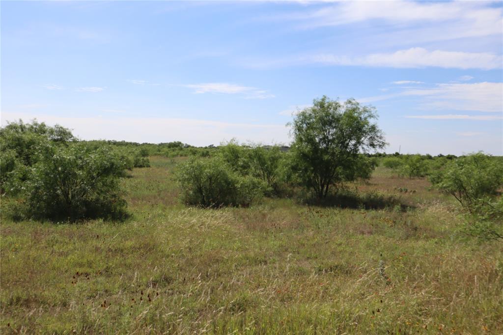 807 County Road 215 Rising Star, TX 76471 - Photo 7 of 9 a view of a field with trees in the background