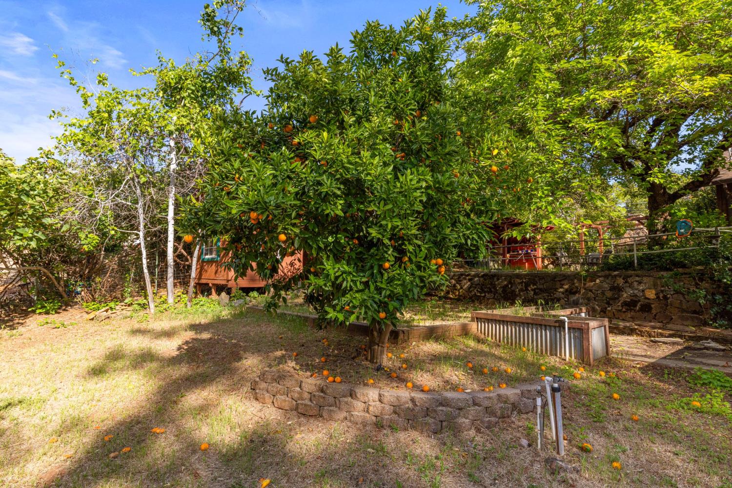 9340 Mosquito Road Placerville, CA 95667 - Photo 63 of 92