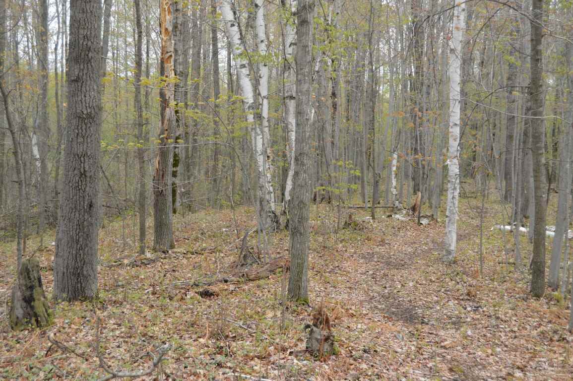 0 Alabaster Road Turner, MI 48765 - Photo 19 of 24 1856898-18.JPG