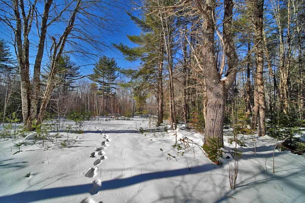 51 Andrews Road Wytopitlock, ME 04497 - Photo 92 of 117 wood-farm-land-me