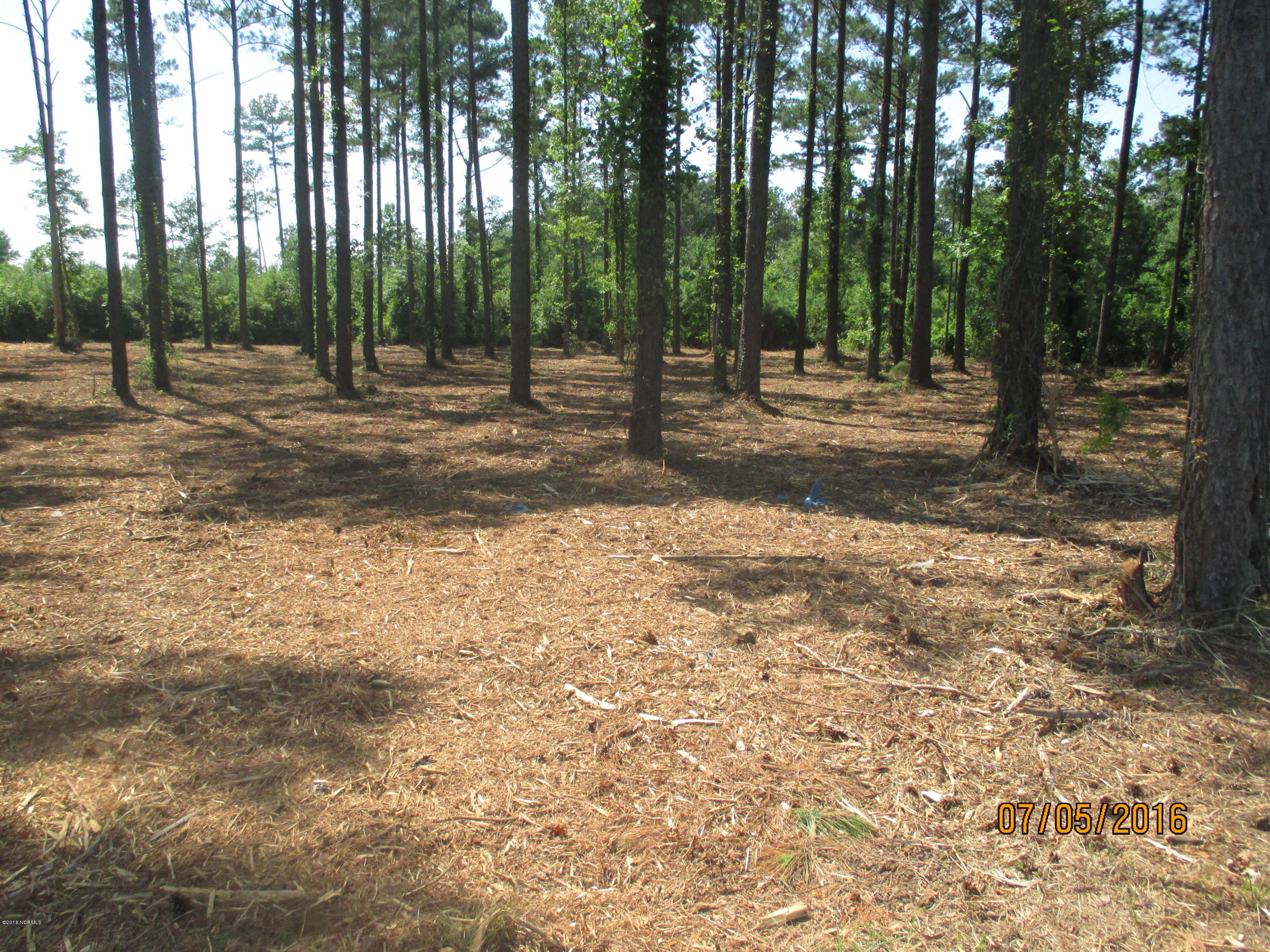 0 State Road 1155 Road Chocowinity, NC 27817 - Photo 1 of 5 PULLIAM after mowing 001