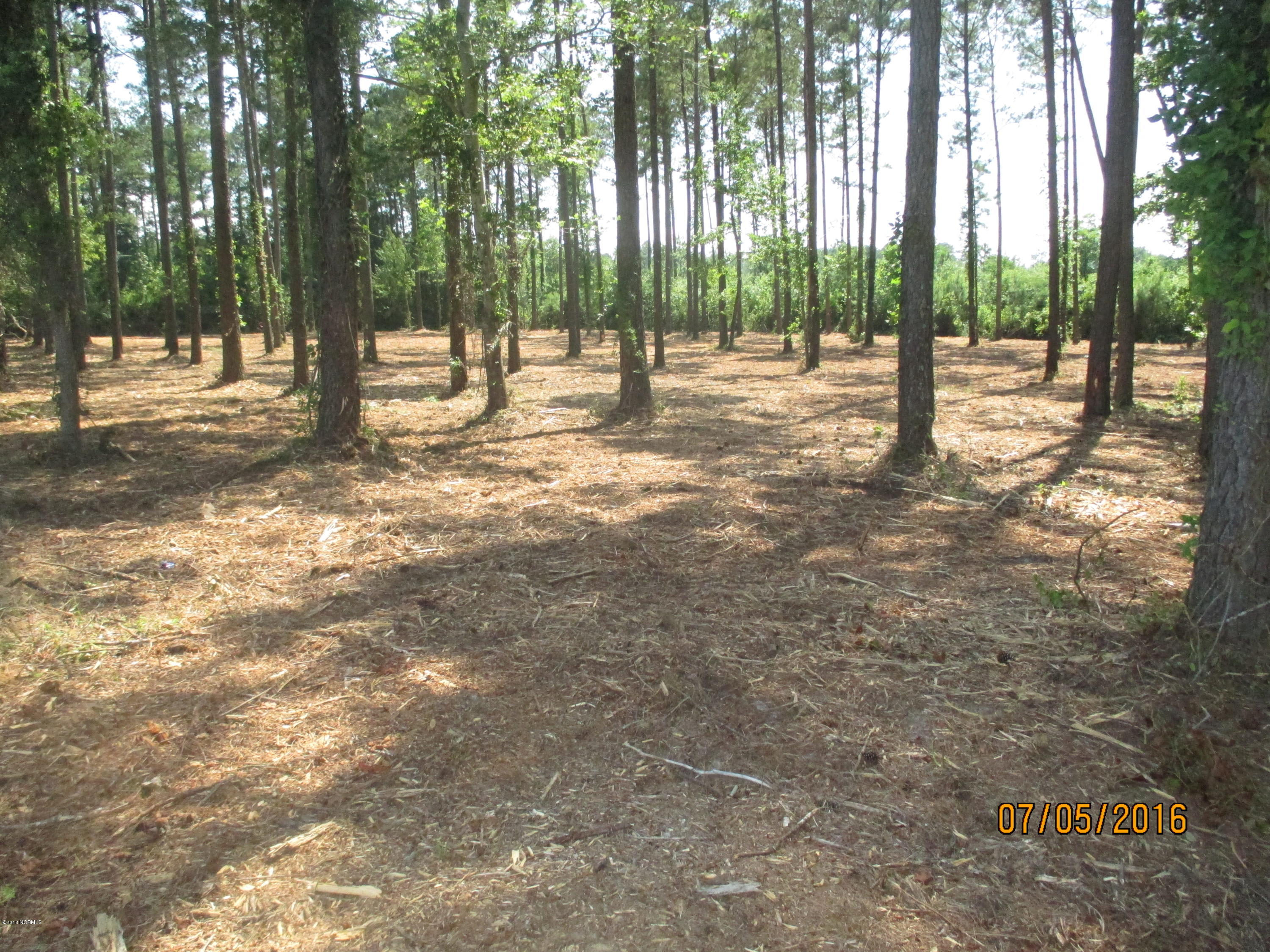 0 State Road 1155 Road Chocowinity, NC 27817 - Photo 3 of 5 PULLIAM after mowing 002