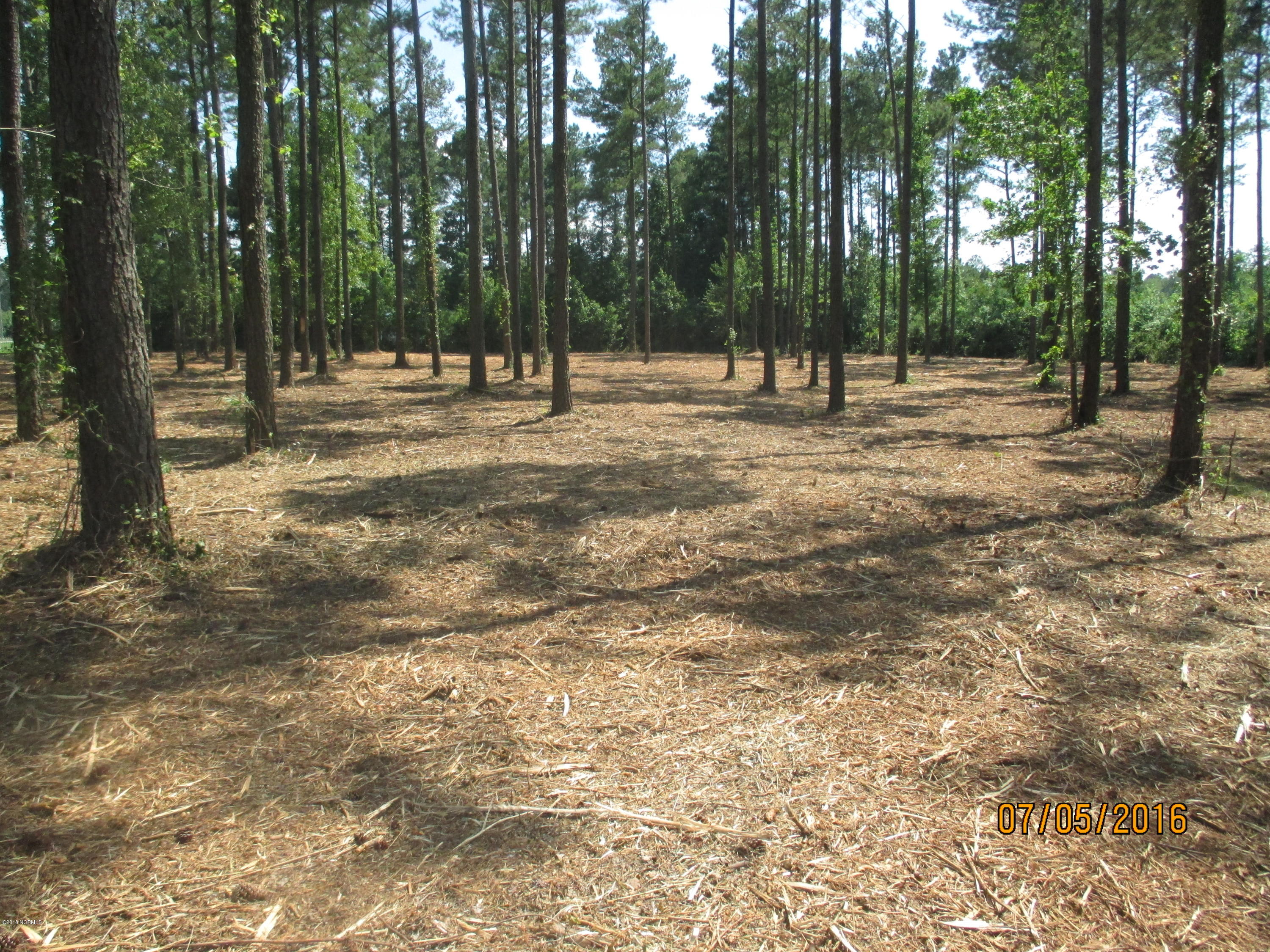 0 State Road 1155 Road Chocowinity, NC 27817 - Photo 4 of 5 PULLIAM after mowing 003