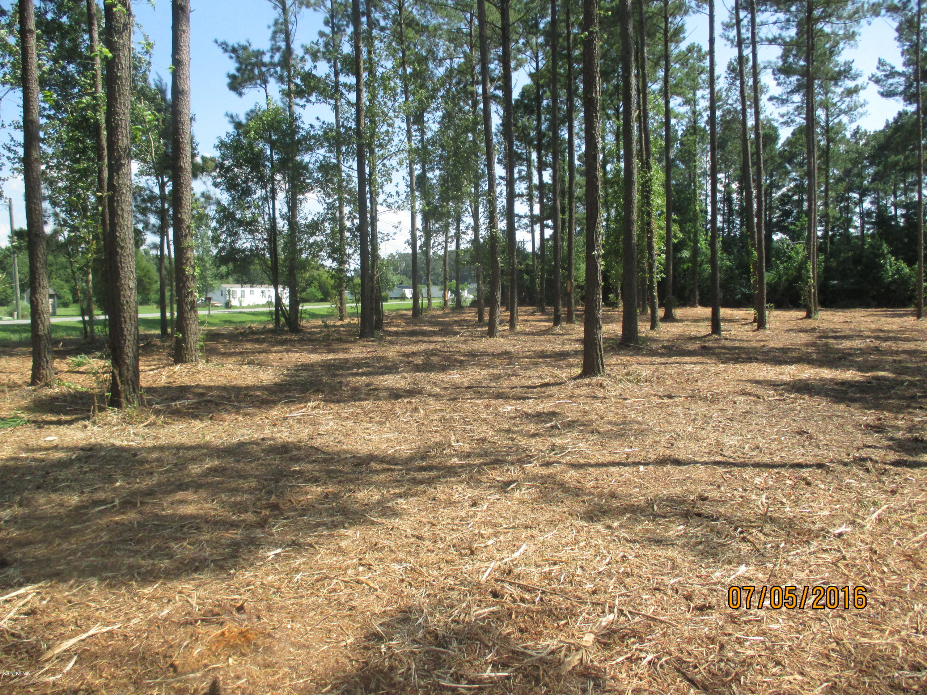 0 State Road 1155 Road Chocowinity, NC 27817 - Photo 5 of 5 PULLIAM after mowing 004