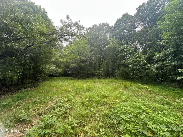 $92,500 | 1761 Old Highway, Holly Springs, MS 38635