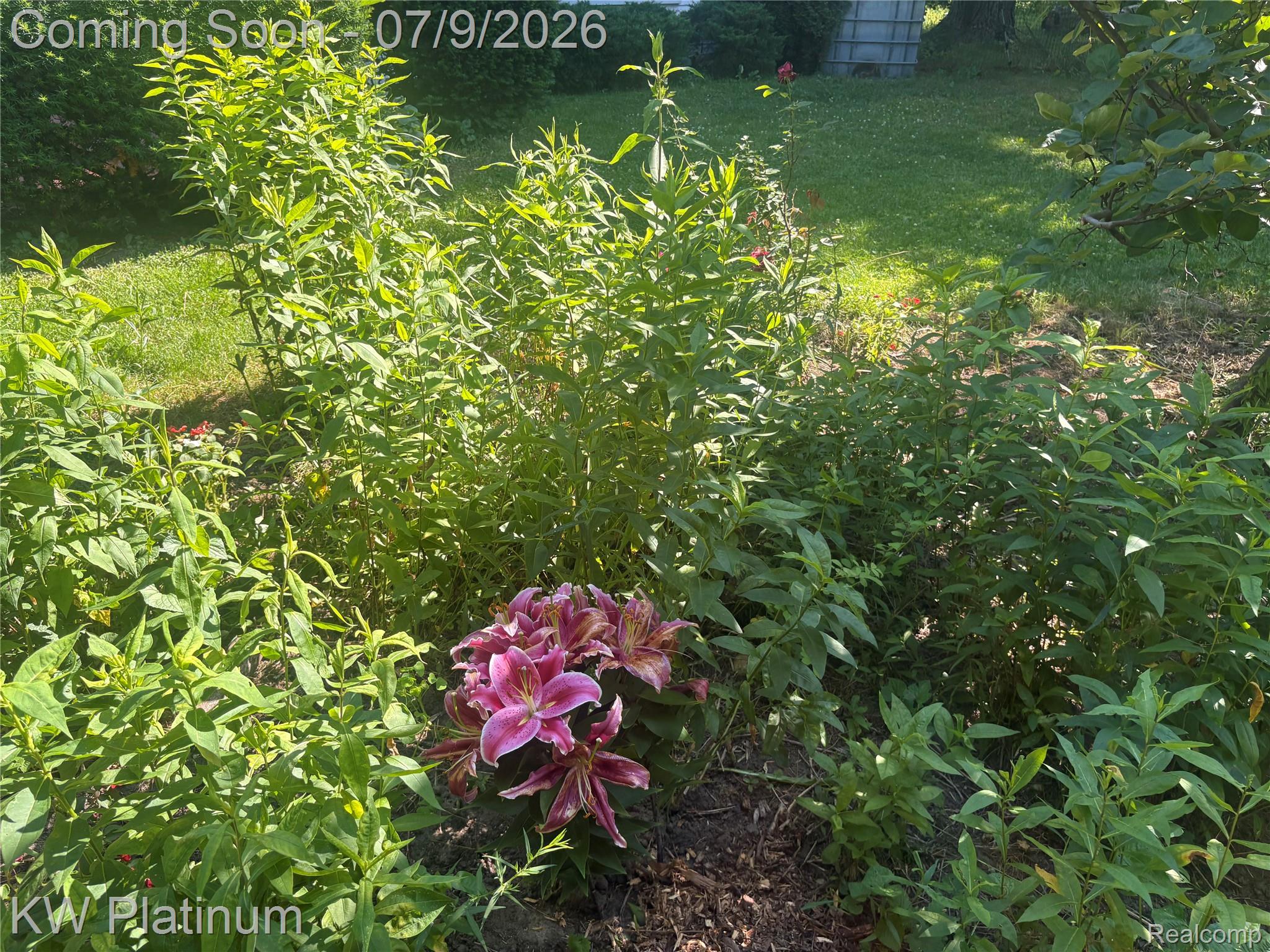 7280 North Road Fort Gratiot, MI 48059 - Photo 31 of 40 IMG_9978.jpeg