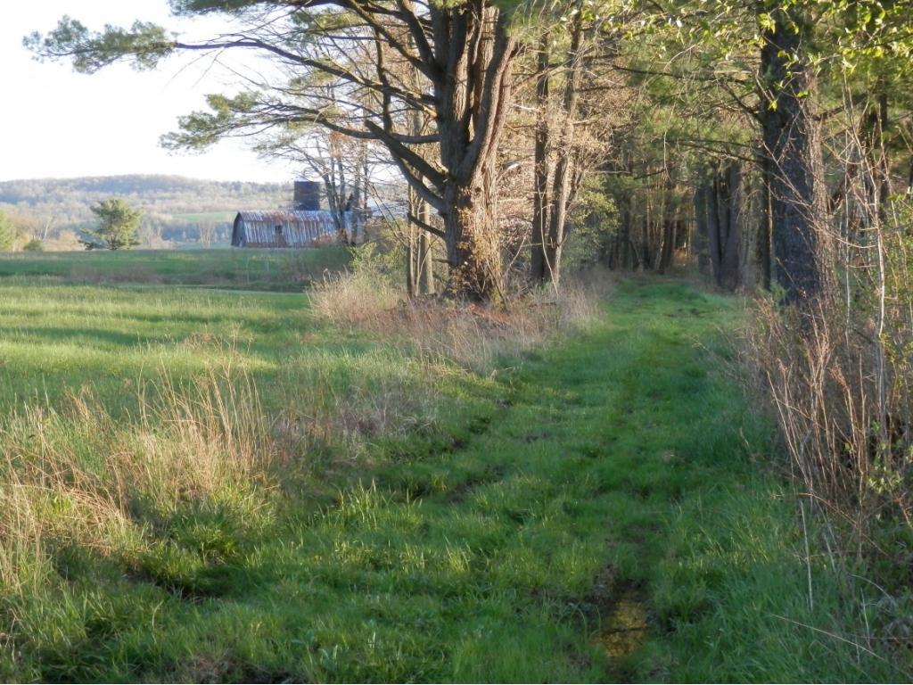 285 Taft Road Greene, NY 13778 - Photo 22 of 24 Gallery Image 22