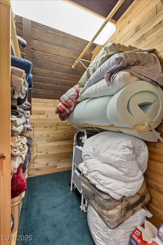 370 Alpine Way Mount Charleston, NV 89124 - Photo 29 of 79 Dual closets