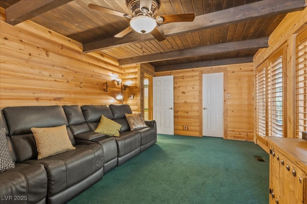 370 Alpine Way Mount Charleston, NV 89124 - Photo 31 of 79