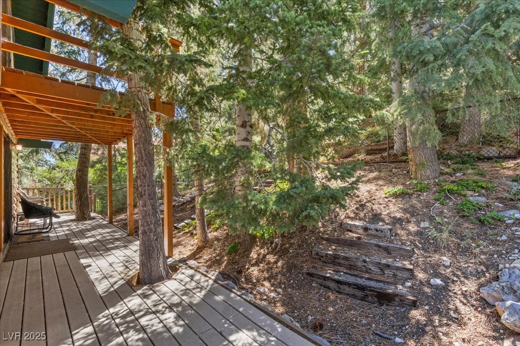 370 Alpine Way Mount Charleston, NV 89124 - Photo 34 of 79 A portion of the yard is gated, providing outdoor space for pets, play & peace of mind.