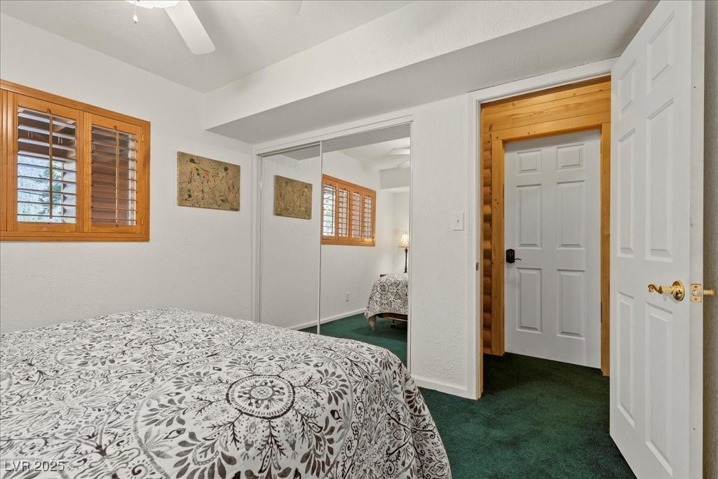 370 Alpine Way Mount Charleston, NV 89124 - Photo 44 of 79