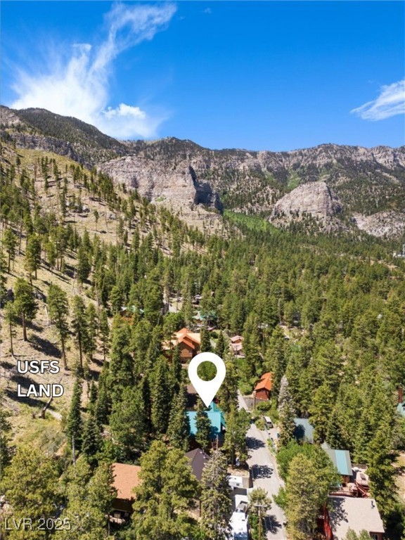 370 Alpine Way Mount Charleston, NV 89124 - Photo 56 of 79