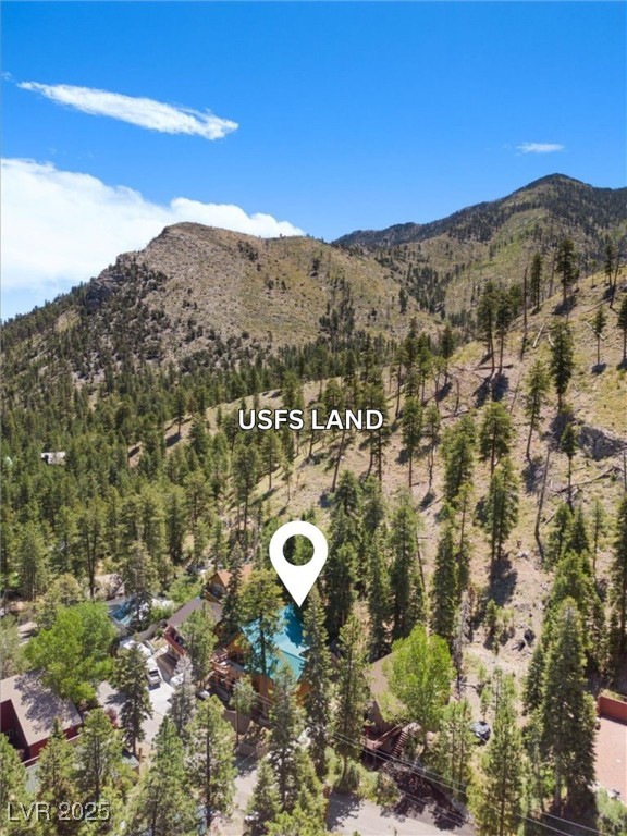 370 Alpine Way Mount Charleston, NV 89124 - Photo 59 of 79