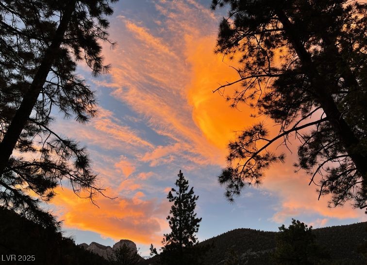 370 Alpine Way Mount Charleston, NV 89124 - Photo 60 of 79 Welcome to Mt. Charleston! Stunning sunsets.