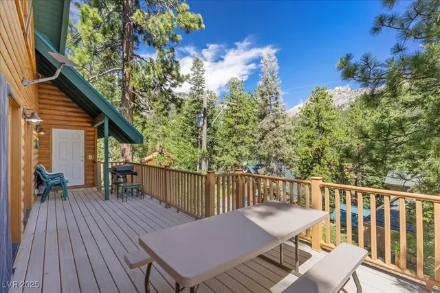 $993,000 | 370 Alpine Way, Mount Charleston, NV 89124