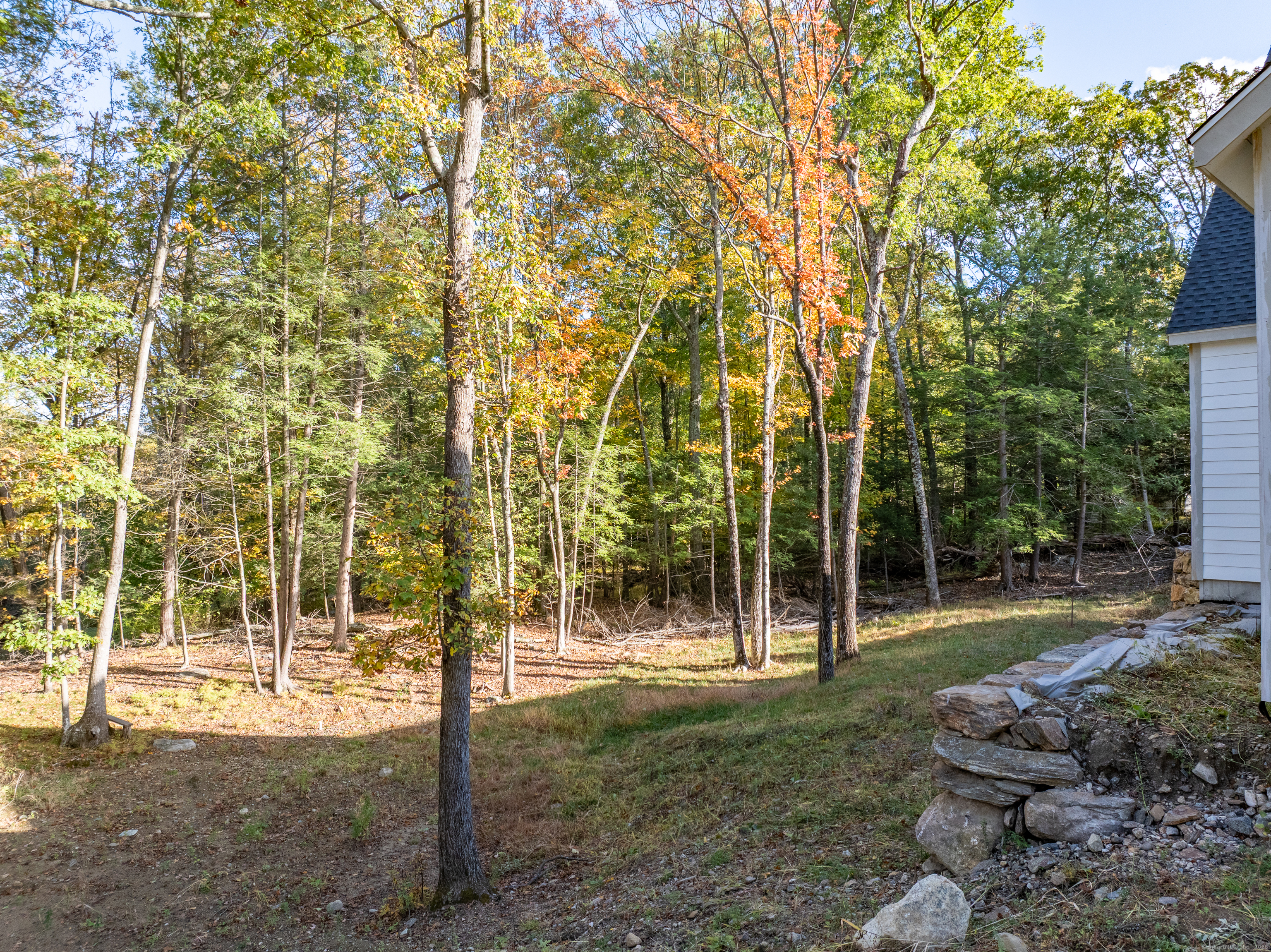 255 Great Plain Road Danbury, CT 06811 - Photo 12 of 20 a backyard of a house with lots of green space