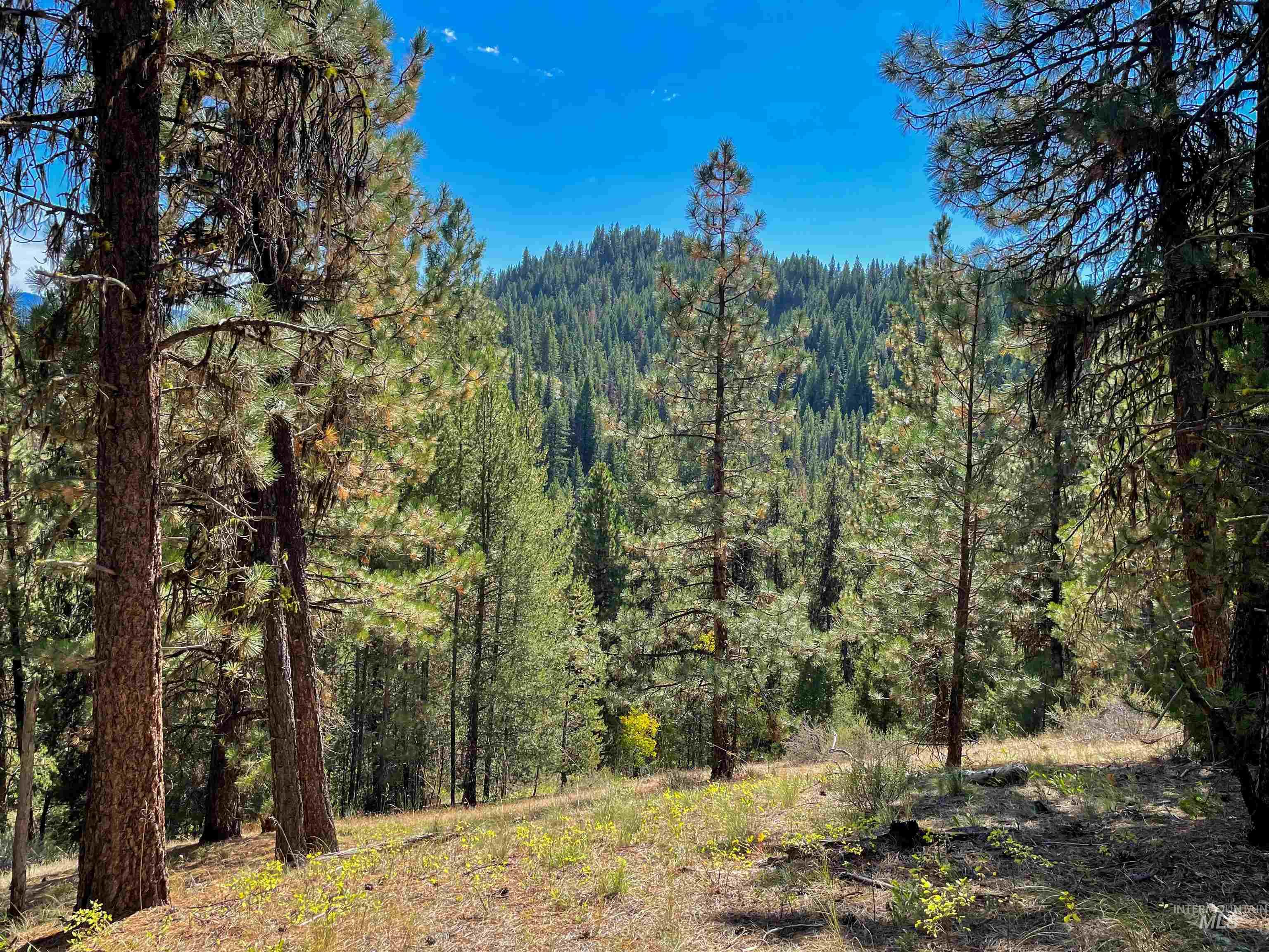 1-2 Horesthief Road Cascade, ID 83611 - Photo 2 of 9