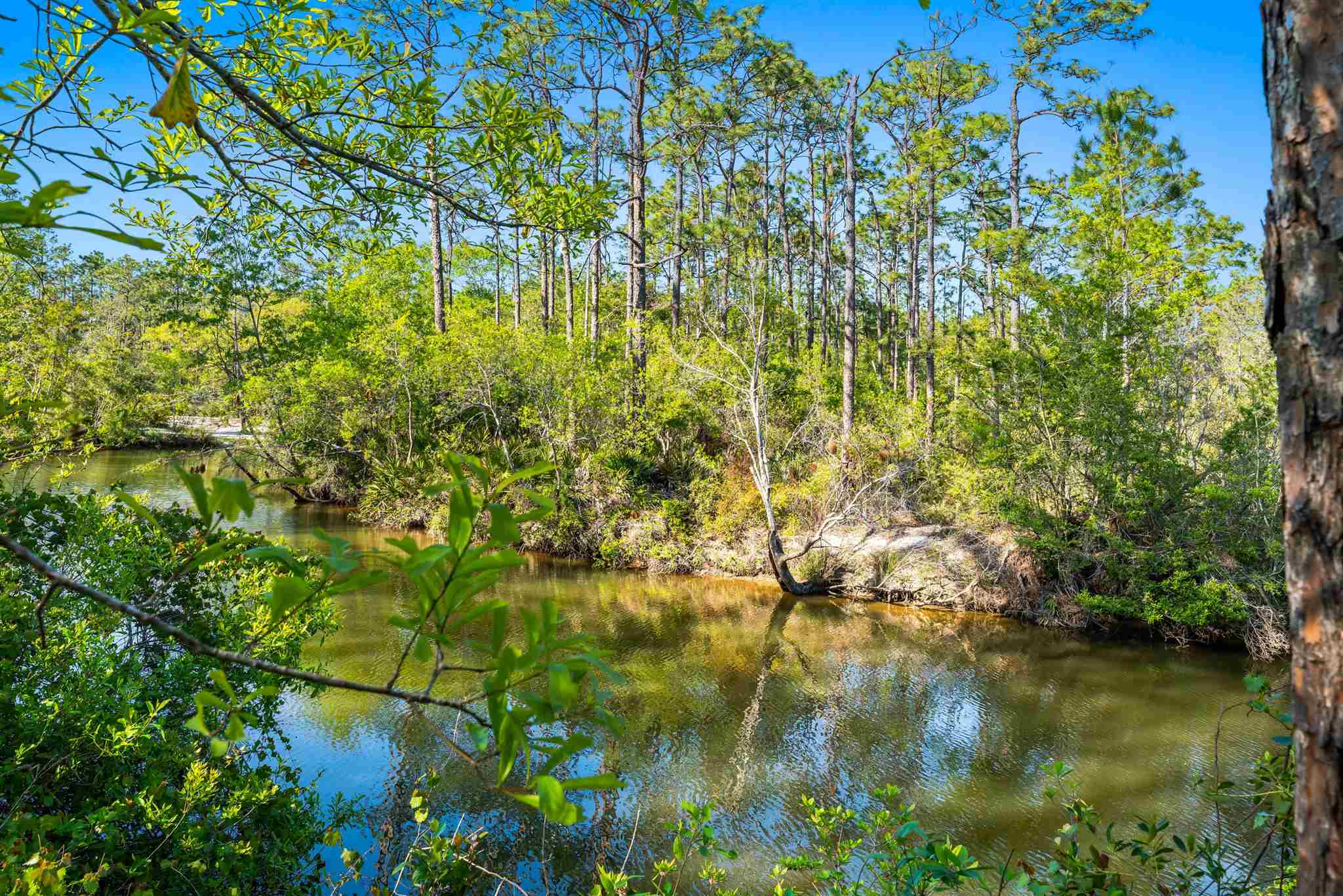 4848 Geno Road Gulf Shores, AL 36542 - Photo 43 of 44