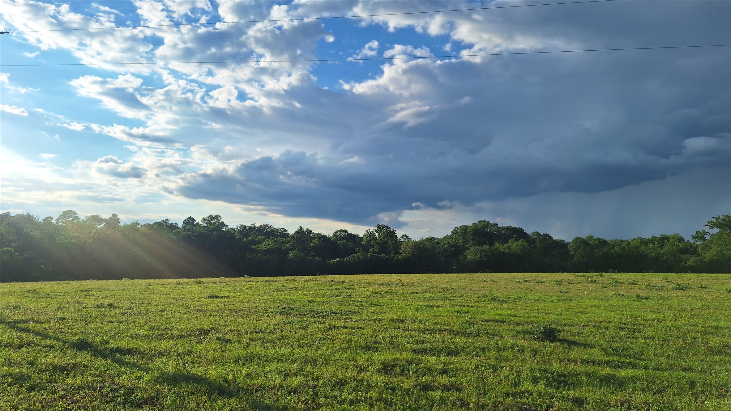 18155 Wellman Road Washington, TX 77880 - Photo 14 of 14 Expansive open field with a treeline border