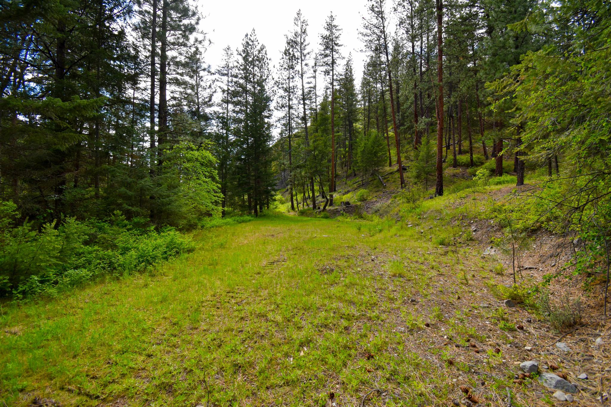 285 Henry Creek Road Plains, MT 59859 - Photo 53 of 55 Gallery Image 53