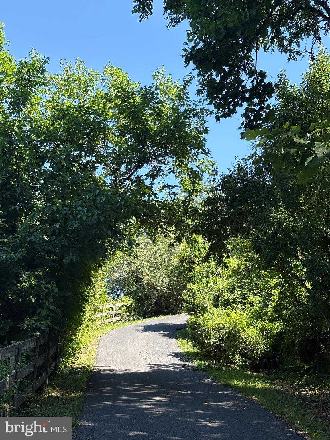 296 Ben Venue Road Flint Hill, VA 22627 - Photo 4 of 11 Winding paved driveway beneath the canopy of trees