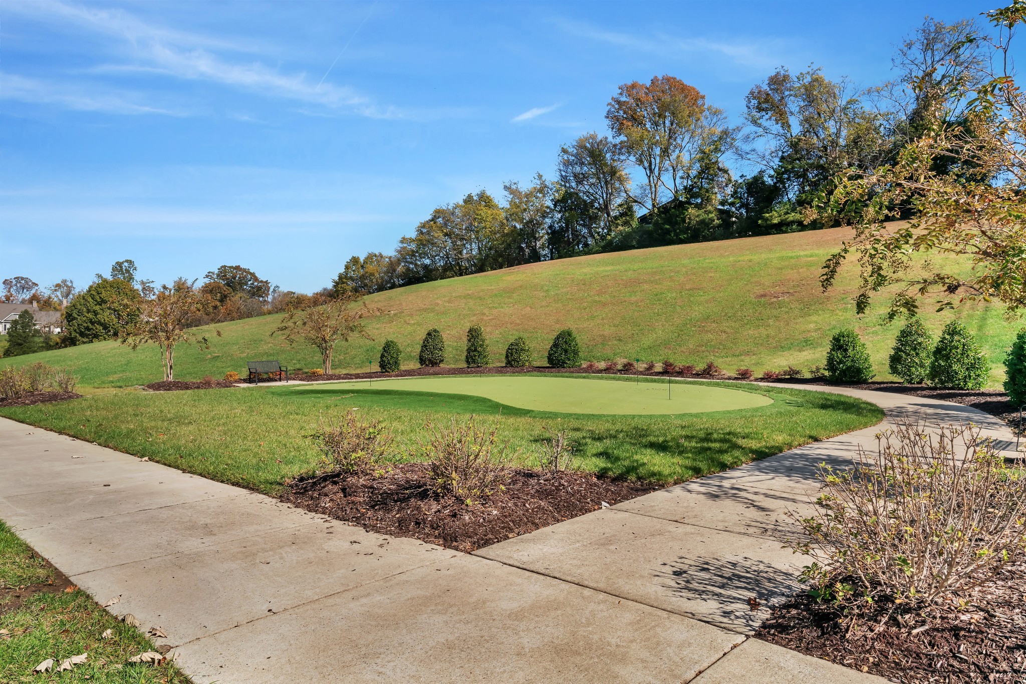 334 Buckner Cir Mount Mount Juliet, TN 37122 - Photo 43 of 44 a view of a park with large trees