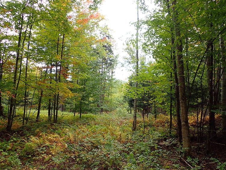 2 Spaulding Road St. Johnsbury, VT 05819 - Photo 8 of 11 Gallery Image 8