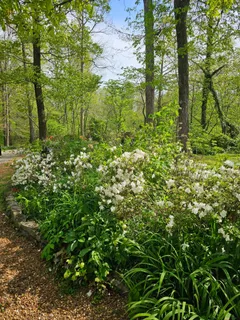 $4,995,000 | 5180 Fire Tower Road, Franklin, TN 37064