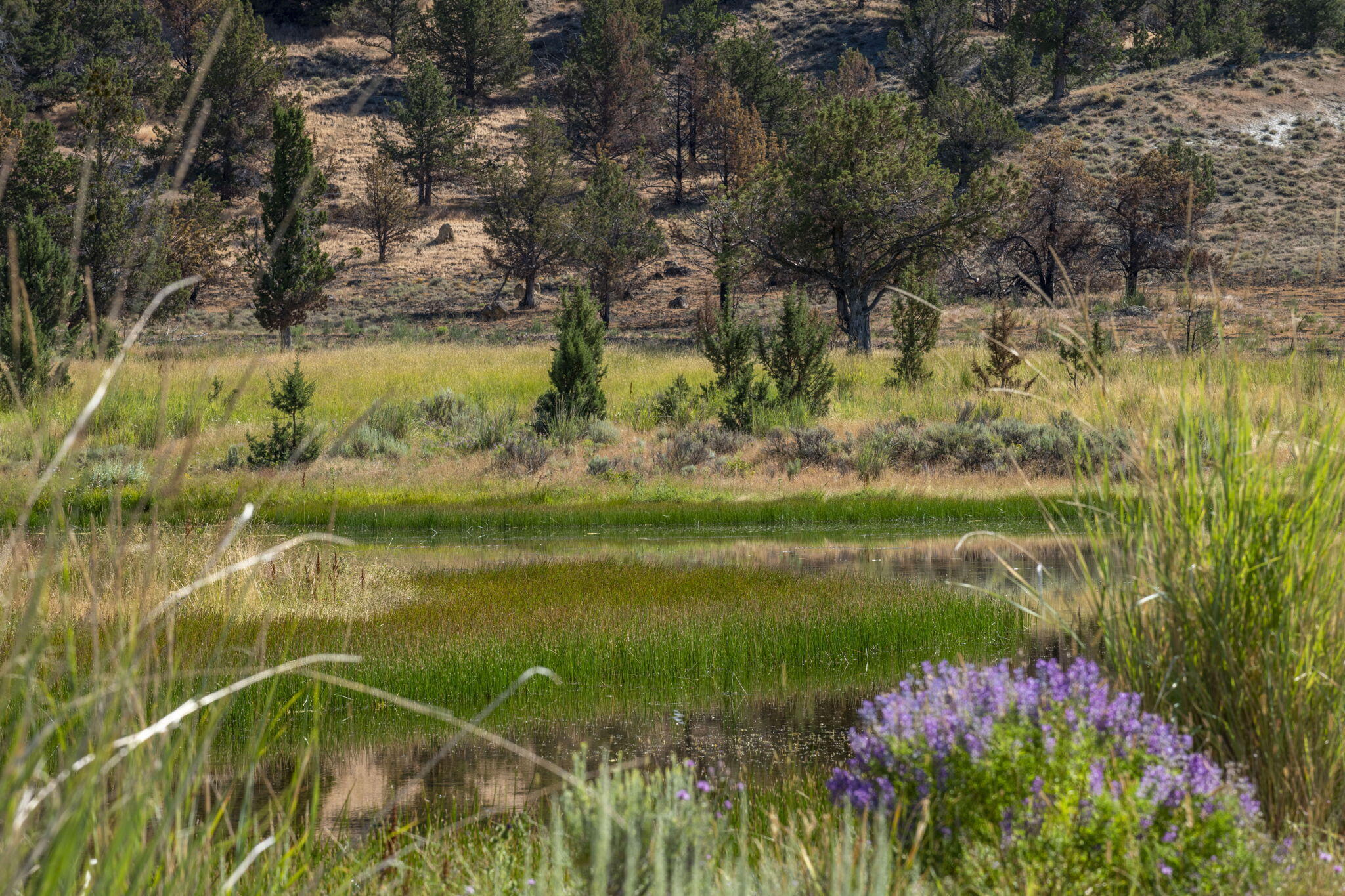 32500 Tackman Road Prineville, OR 97754 - Photo 39 of 112