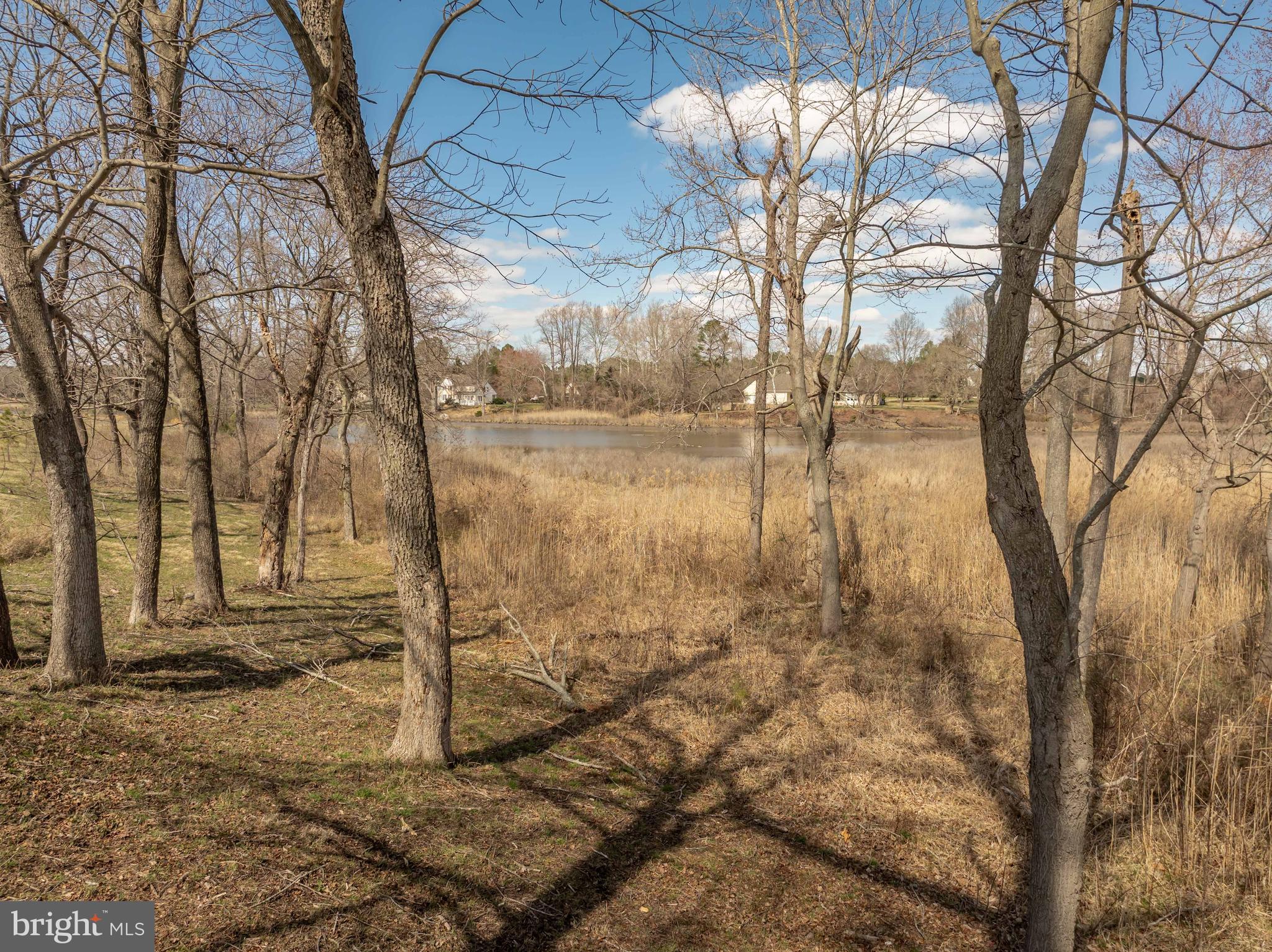 28850 Jennings Road Easton, MD 21601 - Photo 18 of 27