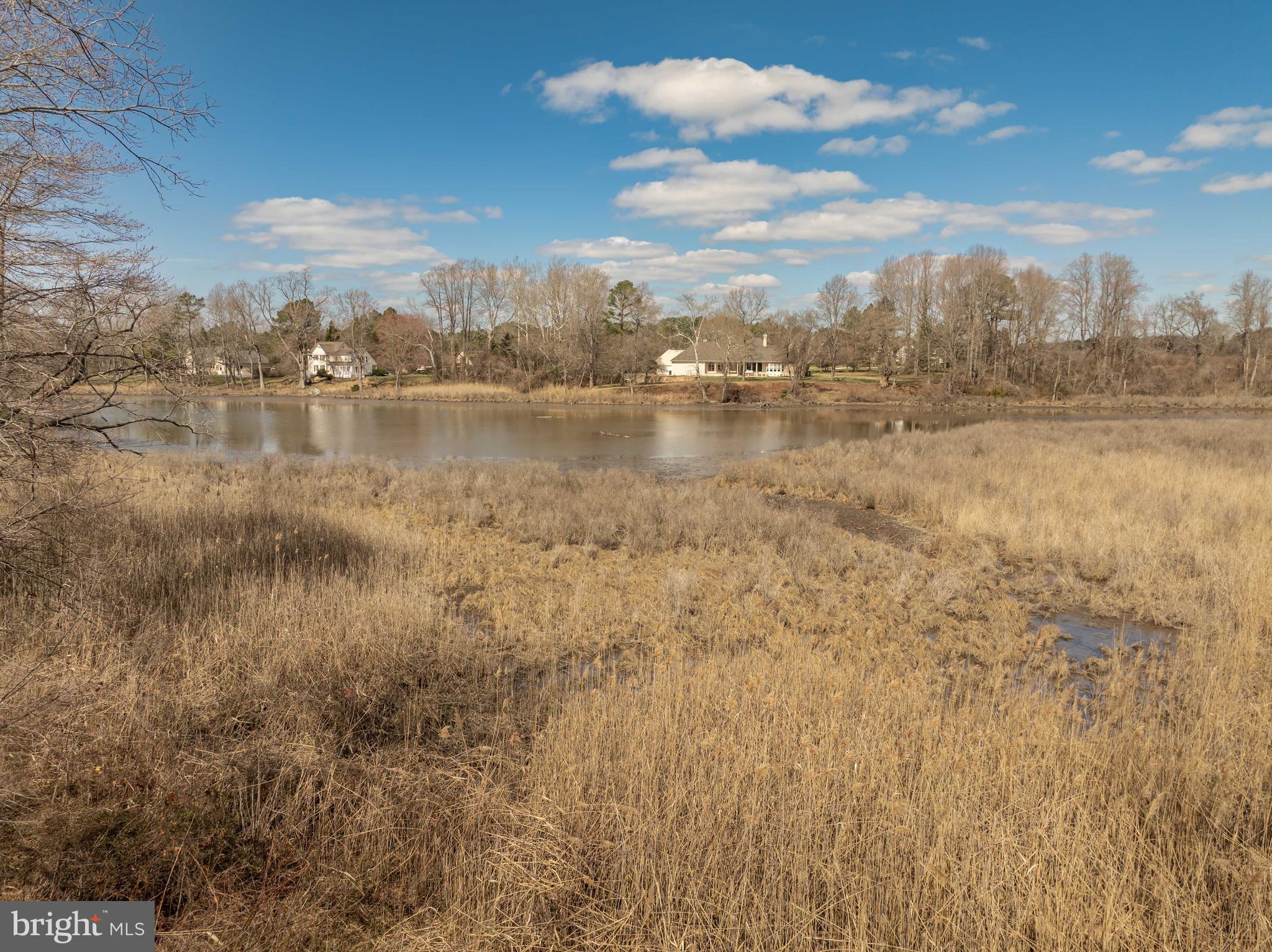 28850 Jennings Road Easton, MD 21601 - Photo 19 of 27