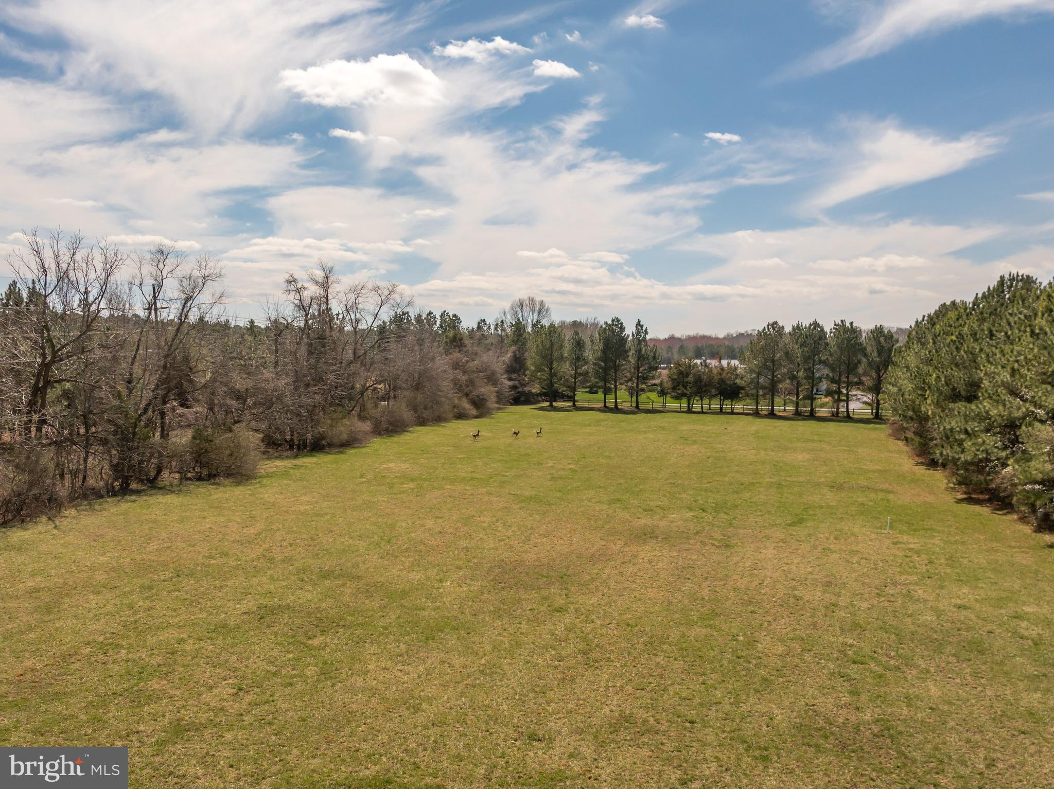 28850 Jennings Road Easton, MD 21601 - Photo 22 of 27