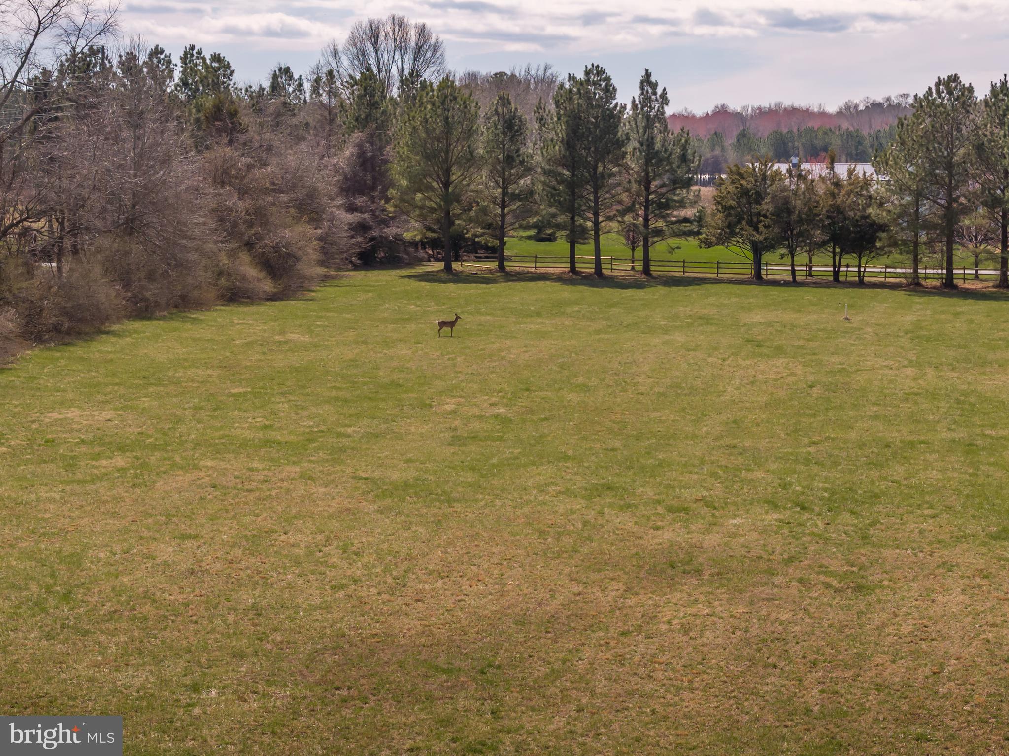 28850 Jennings Road Easton, MD 21601 - Photo 23 of 27