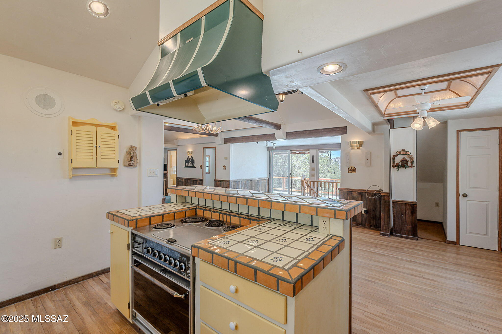 9865 North Willow Loop Tucson, AZ 85739 - Photo 18 of 50 Large Kitchen