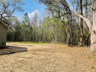 30247 Cowart Bush Road Bush, LA 70431 - Photo 14 of 16