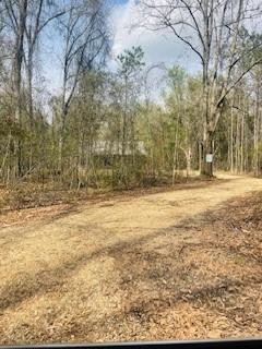 30247 Cowart Bush Road Bush, LA 70431 - Photo 15 of 16