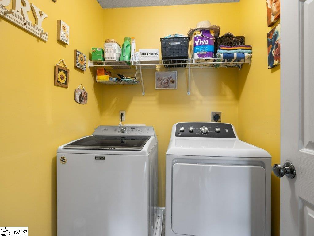 3 Tampico Court Greer, SC 29651 - Photo 25 of 32