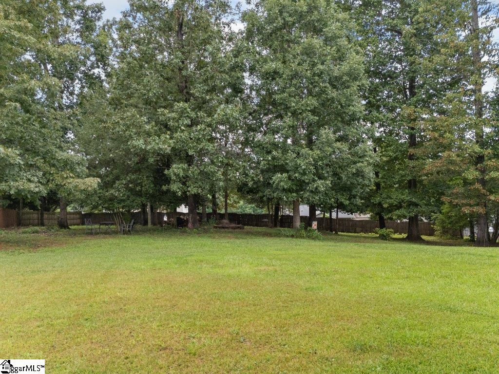 3 Tampico Court Greer, SC 29651 - Photo 27 of 32