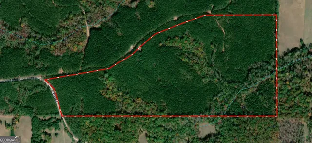 a view of a flower in a garden