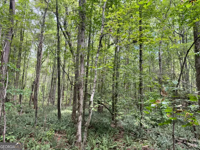 $572,585 | 99.58-ac Peace Lane, Franklin, GA 30217