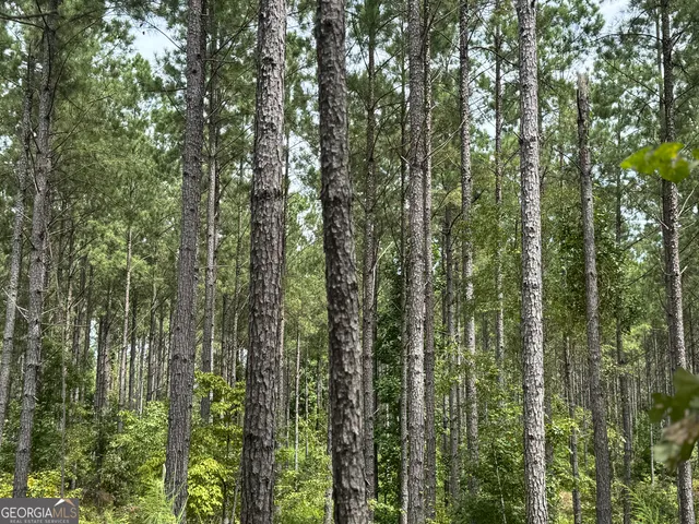 $572,585 | 99.58-ac Peace Lane, Franklin, GA 30217