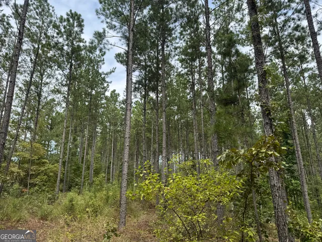 a backyard of a house with lots of trees