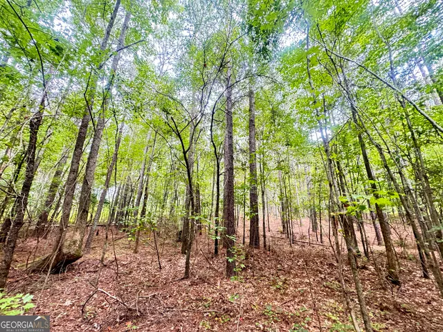 a view of a large yard with lots of bushes