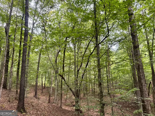 a view of a green yard