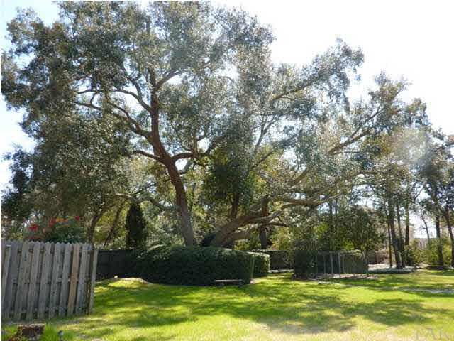 4461 Canopy Road Pensacola, FL 32504 - Photo 20 of 22 Manicured landscaping