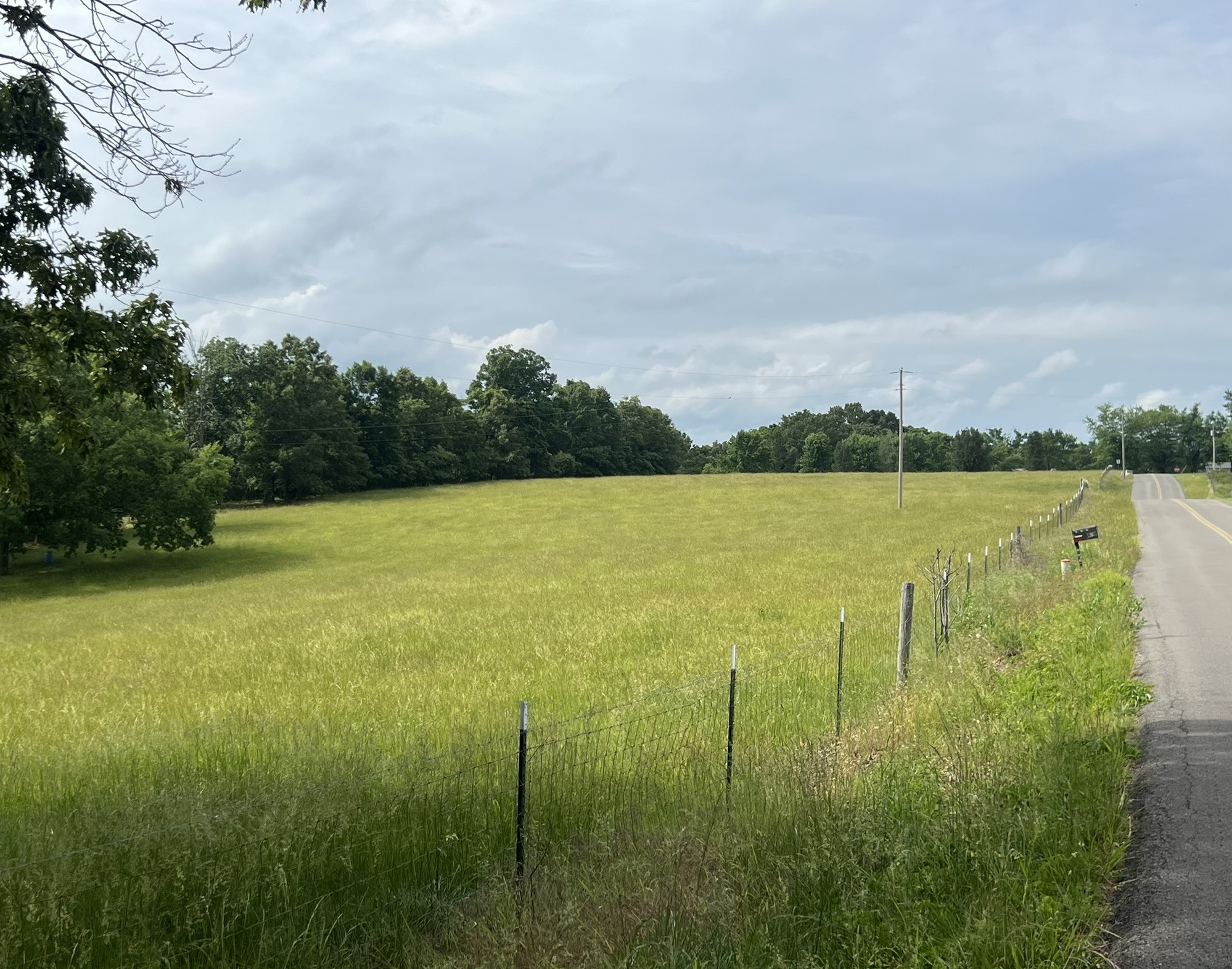 0 West George Durham Road Westmoreland, TN 37186 - Photo 3 of 9
