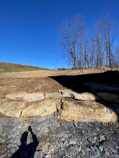 466 Wheeler Road Florida, NY 10921 - Photo 9 of 15 a view of a backyard of the house