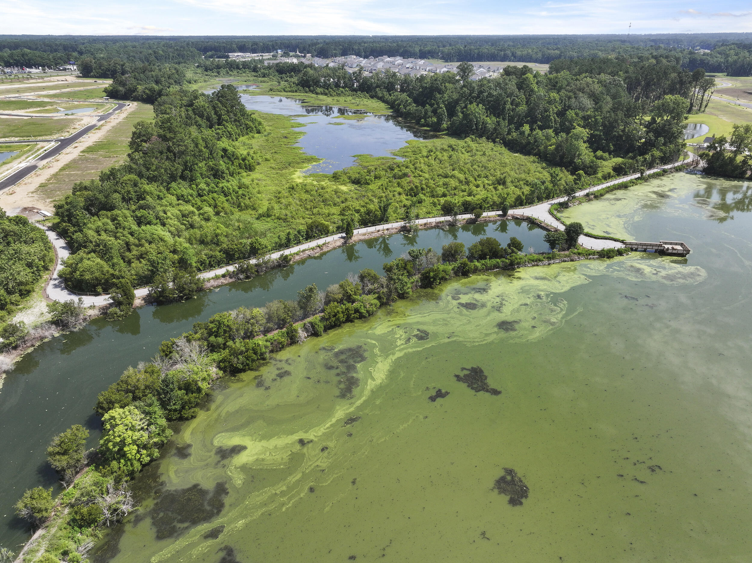 223 Yarrow Way Moncks Corner, SC 29461 - Photo 16 of 26 25_dji_20250625105926_0154_d