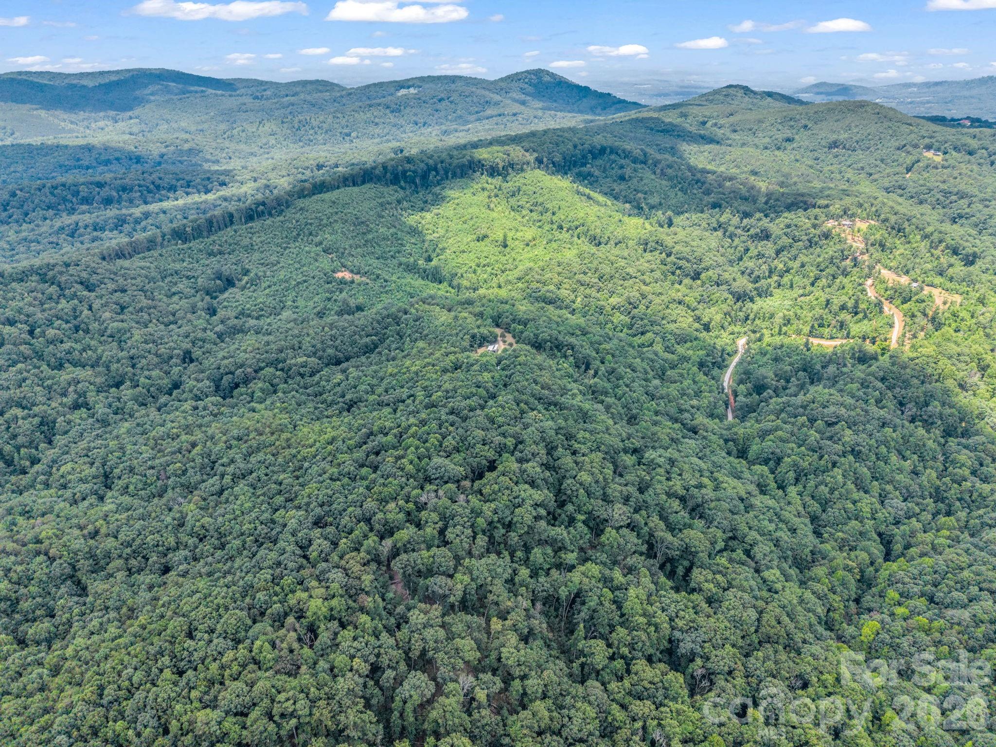 1300 Towery Trace Road Ellenboro, NC 28040 - Photo 36 of 38