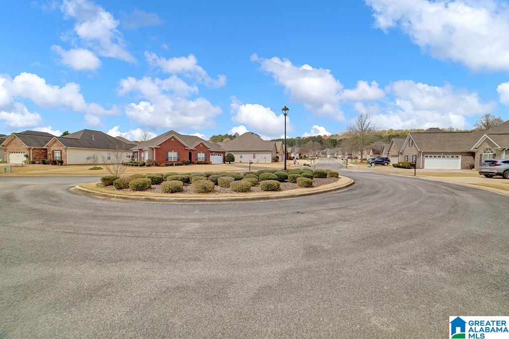 350 Trellis Circle Springville, AL 35146 - Photo 3 of 20